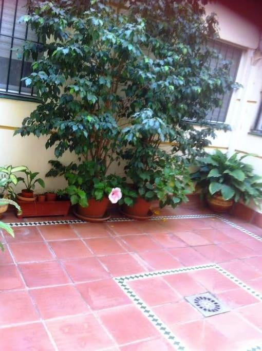 Apartamento Paola El Puerto de Santa María Dış mekan fotoğraf