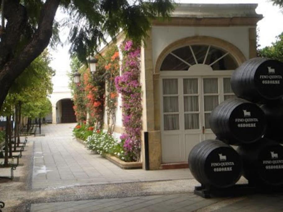 Apartamento Paola El Puerto de Santa María Dış mekan fotoğraf